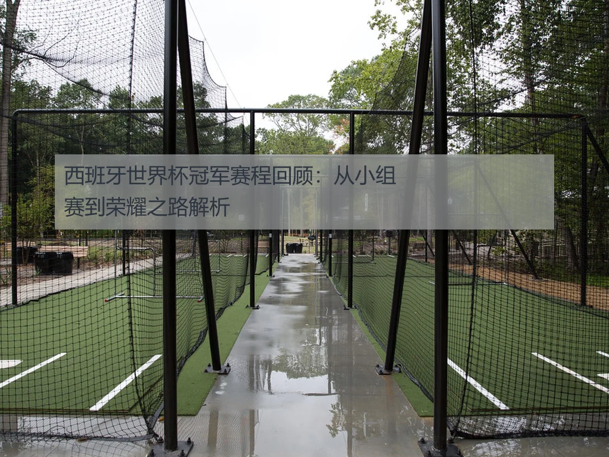 西班牙世界杯冠军赛程回顾：从小组赛到荣耀之路解析